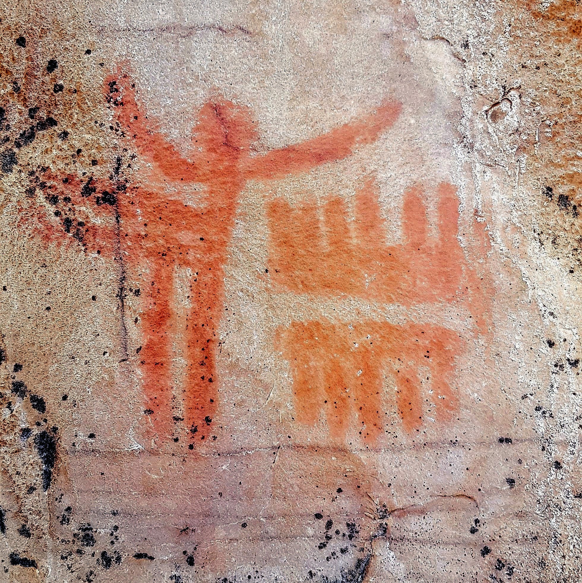 Traditional ceremonies